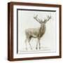 Brown Frame