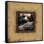 Canvas Black