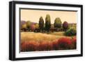 Black Frame
