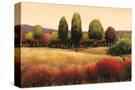 Stretched Canvas