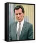 James Woods-null-Framed Stretched Canvas