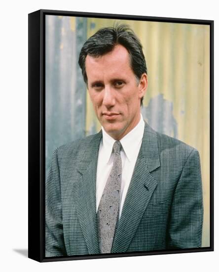 James Woods-null-Framed Stretched Canvas