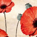 Poppy Love-James Worthington-Stretched Canvas