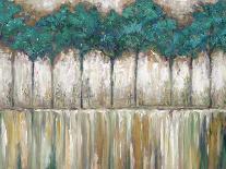 Coastal Spring Birch-James Zheng-Stretched Canvas