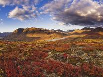 Lush hills in front of Mount Egmont-Jami Tarris-Mounted Photographic Print