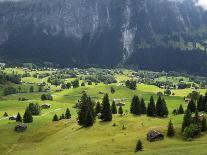 Switzerland, Bern Canton, Grindelwald, Alpine Farming Community-Jamie And Judy Wild-Photographic Print