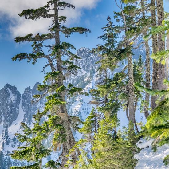 Premium Photographic Print, , large