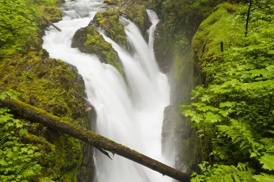 Premium Photographic Print, , large