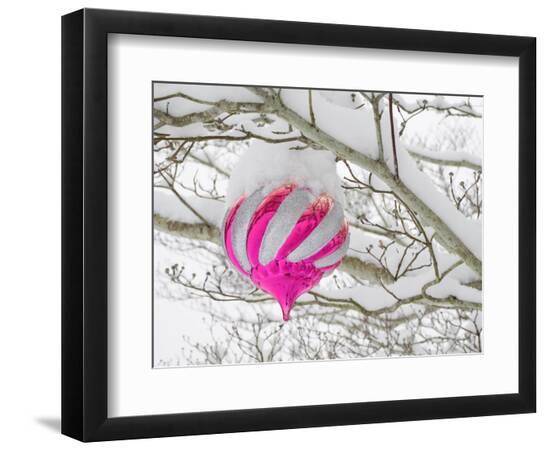 Premium Photographic Print, , large