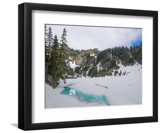Premium Photographic Print, , large