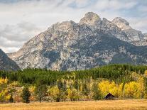 Wyoming, Grand Teton National Park. Teton Range and golden Aspen trees-Jamie and Judy Wild-Laminated Photographic Print