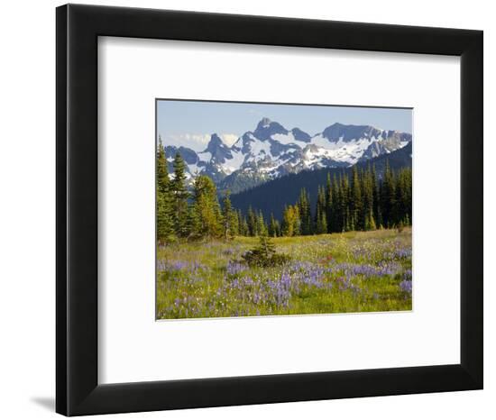 Framed Photographic Print, , large