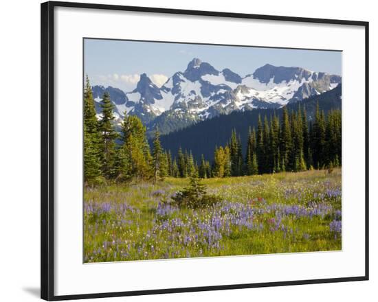 Framed Photographic Print, , large