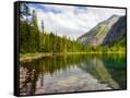 Canvas Black