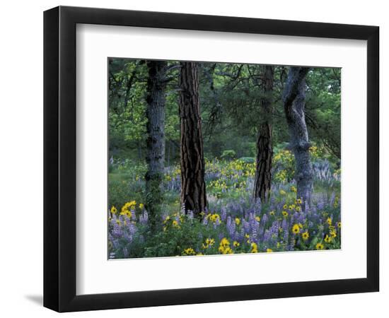 Premium Photographic Print, , large