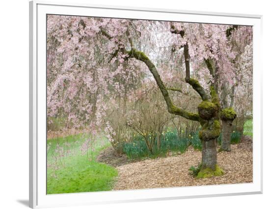 Framed Photographic Print, , large