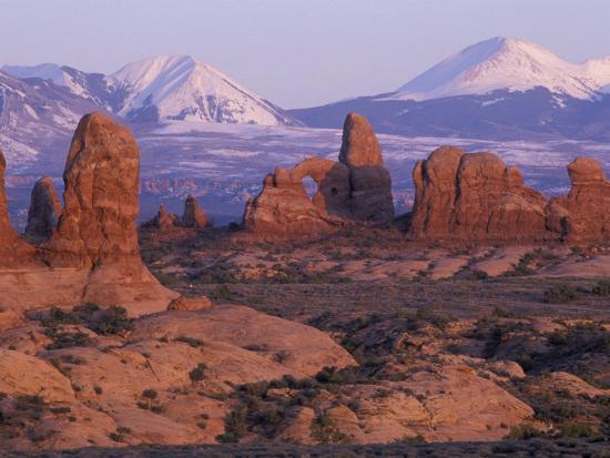 Premium Photographic Print, , large