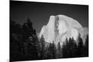 Wood Mount