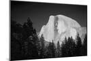 Wood Mount