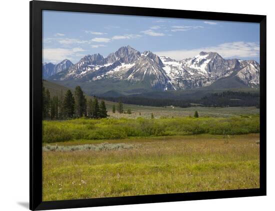 Premium Photographic Print, , large