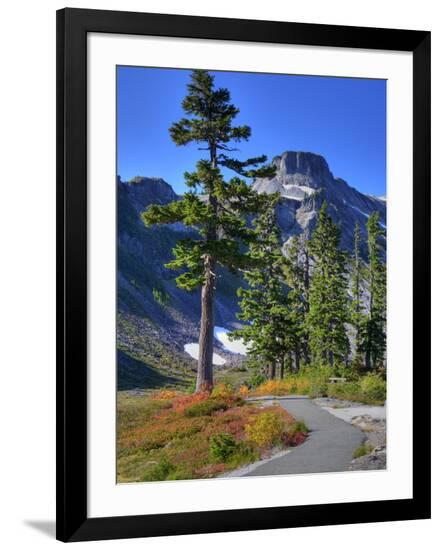 Premium Photographic Print, , large