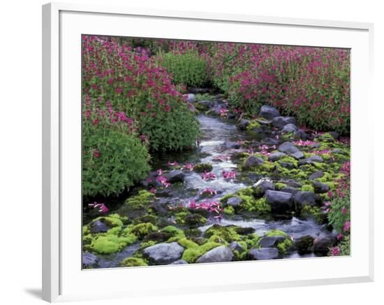 Framed Photographic Print, , large