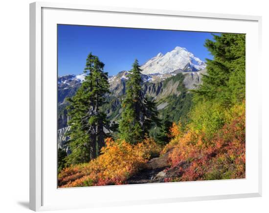 Framed Photographic Print, , large