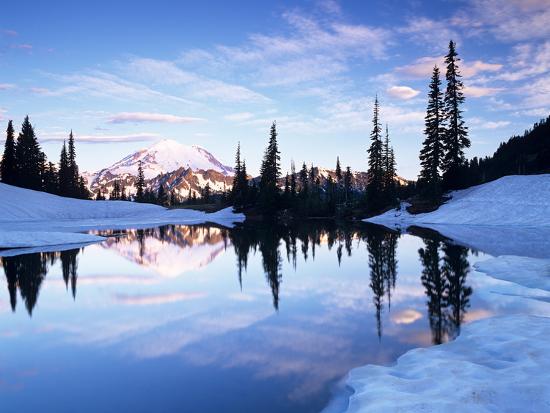 Premium Photographic Print, , large