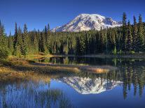 Mt. Rainier Reflected in Tarn, Mt. Rainier National Park, Washington, USA-Jamie & Judy Wild-Photographic Print