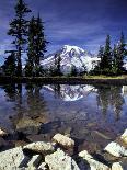 Mt. Rainier Reflected in Reflection Lake, Mt. Rainier National Park, Washington, Usa-Jamie & Judy Wild-Photographic Print