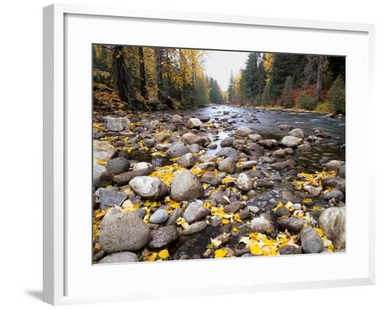 Framed Photographic Print, , large
