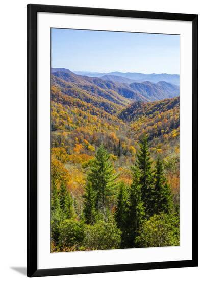 Framed Photographic Print, , large