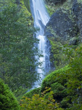 Oregon, Columbia River Gorge National Scenic Area, Starvation Creek Falls