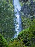 Oregon, Columbia River Gorge National Scenic Area, Starvation Creek Falls-Jamie & Judy Wild-Stretched Canvas
