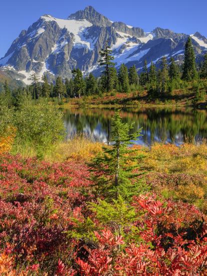Premium Photographic Print, , large