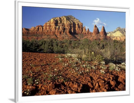 Framed Photographic Print, , large