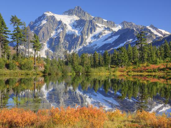 Premium Photographic Print, , large