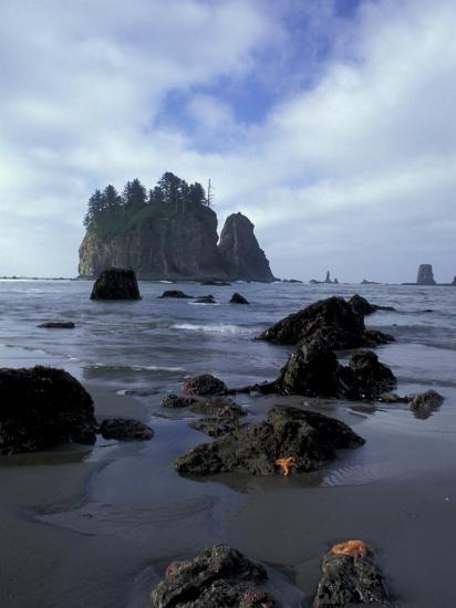 Premium Photographic Print, , large