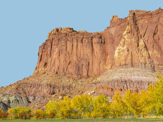 Premium Photographic Print, , large