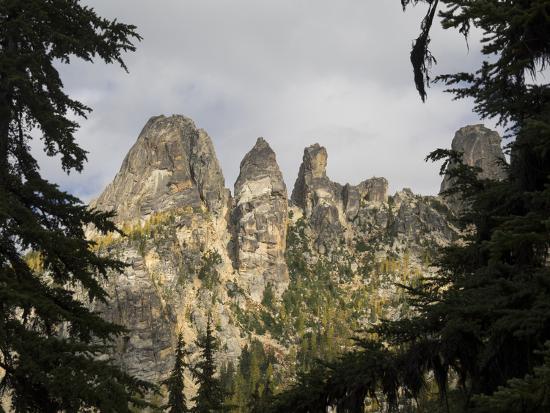 Premium Photographic Print, , large