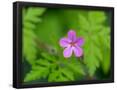 Essential Black