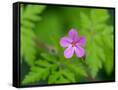 Canvas Black