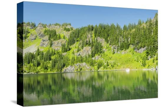 Stretched Canvas Print, , large