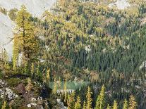 Mt. Rainier Reflected in Tarn, Mt. Rainier National Park, Washington, USA-Jamie & Judy Wild-Photographic Print