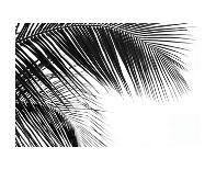 Palms 11-Jamie Kingham-Art Print