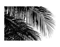 Palms 10 (detail)-Jamie Kingham-Art Print