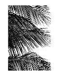 Palms 4-Jamie Kingham-Art Print