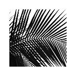 Palms, no. 10 (detail)-Jamie Kingham-Giclee Print