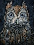Barn Owl II-Jamin Still-Giclee Print