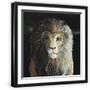 Black Frame